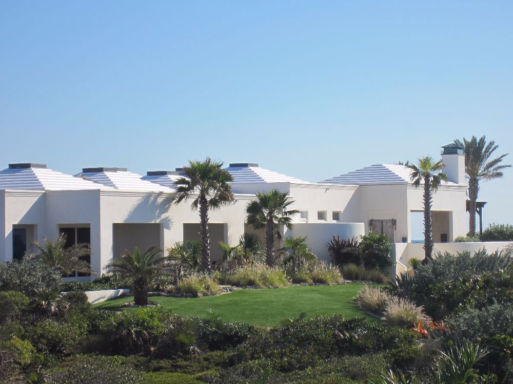Synthetic Turf Landscape