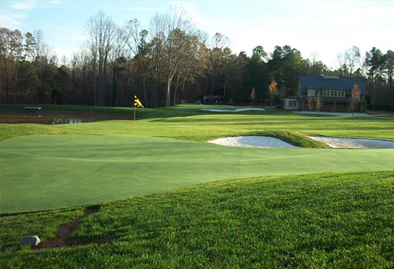 image of backyard par 3 hole showing variations of turf and elevation to create surface speed conditions