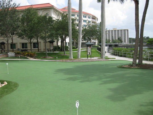 Tour Greens - Commercial Green - 7