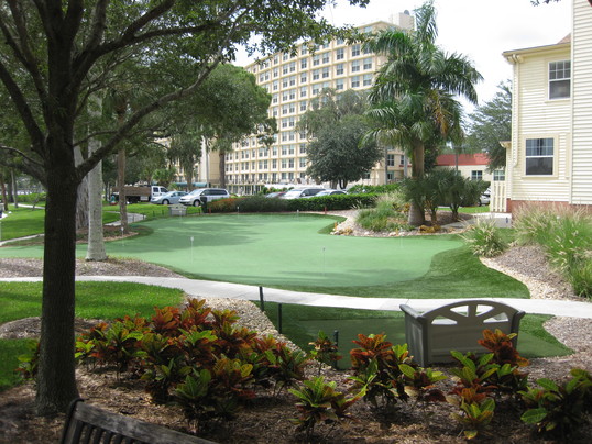 Tour Greens - Commercial Green - 7