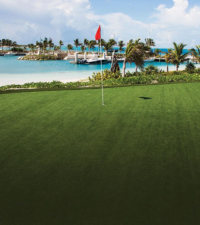 Tour Greens Synthetic Golf Greens Backyard Putting Greens